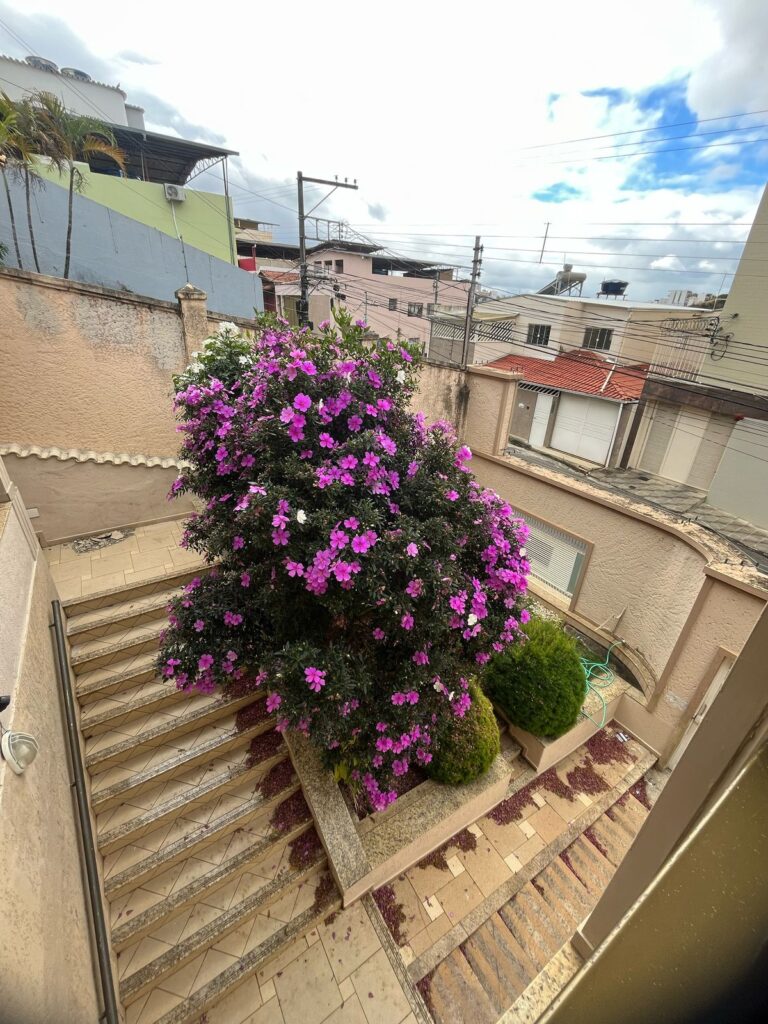 WhatsApp Image 2025-07-11 at 14.31.52