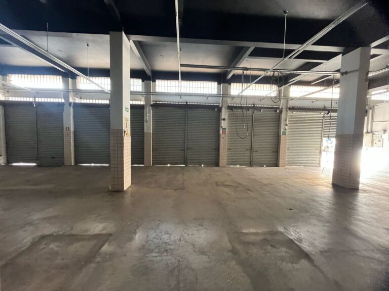 WhatsApp Image 2025-09-16 at 15.38.22