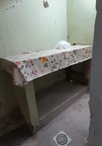 WhatsApp Image 2026-02-20 at 15.20.56